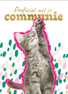 kat communie